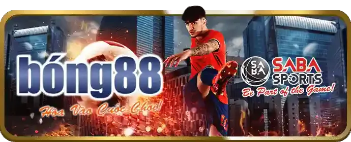 Sân bóng rổ chuyên nghiệp với các cầu thủ